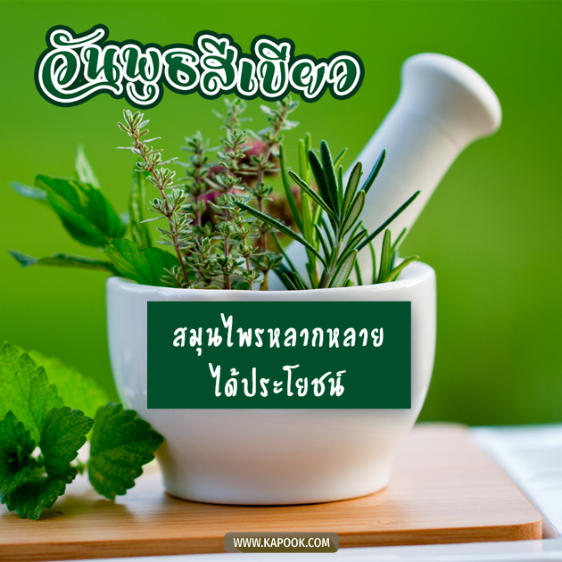 ดวงวันนี้ 25 สิงหาคม 2564 ดวงวันนี้ 25 สิงหาคม 2564