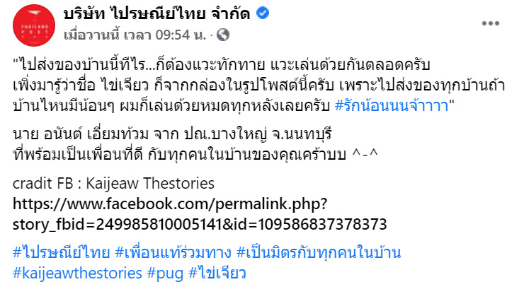 น้องไข่เจียว หมาปั๊ก น้องไข่เจียว หมาปั๊ก