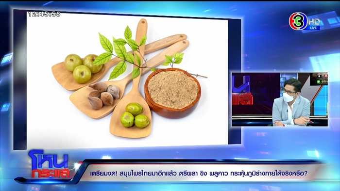 กินสารพัดสมุนไพร - ฟ้าทะลายโจร กินสารพัดสมุนไพร - ฟ้าทะลายโจร