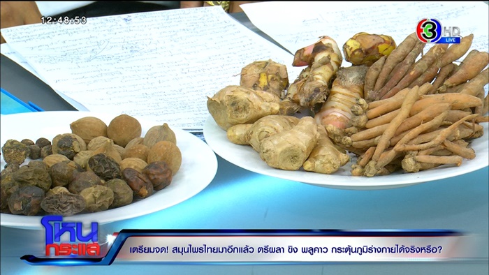 กินสารพัดสมุนไพร - ฟ้าทะลายโจร กินสารพัดสมุนไพร - ฟ้าทะลายโจร