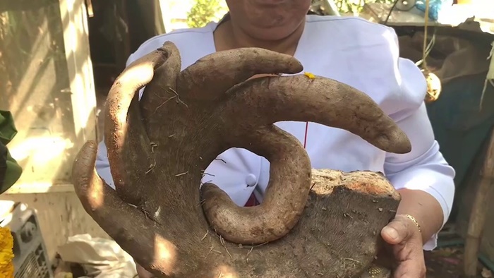 เลขเด็ด เลขเด็ด