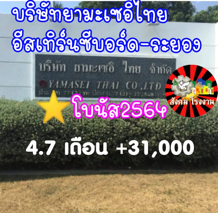 โบนัสปัง เยอะสุดปีนี้ ! โบนัสปัง เยอะสุดปีนี้ !