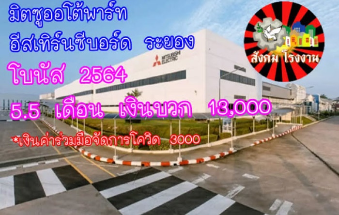 โบนัสปัง เยอะสุดปีนี้ ! โบนัสปัง เยอะสุดปีนี้ !