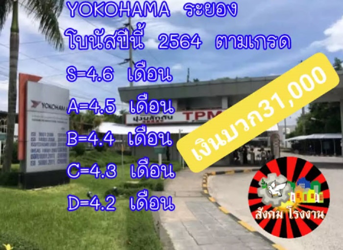 โบนัสปัง เยอะสุดปีนี้ ! โบนัสปัง เยอะสุดปีนี้ !