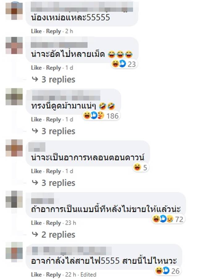 หมา หมา