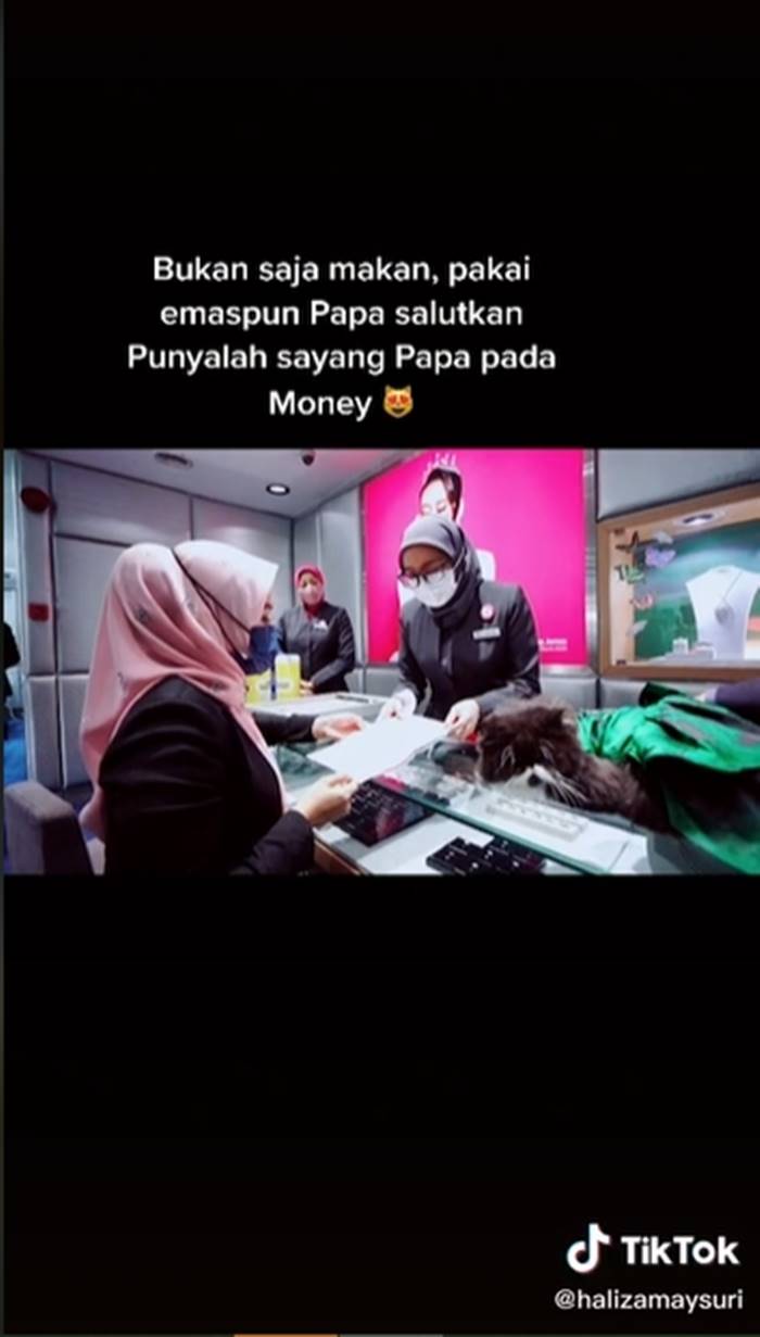 ซื้อทองให้แมวใส่ ซื้อทองให้แมวใส่