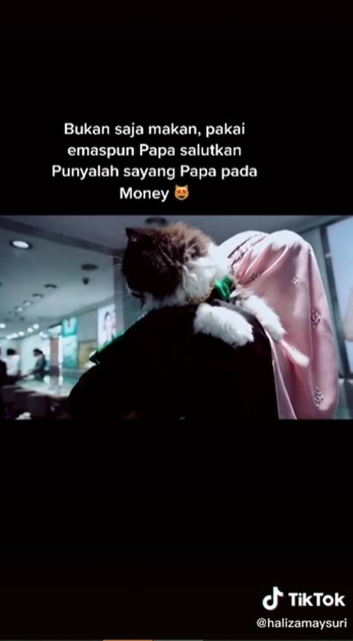 ซื้อทองให้แมวใส่ ซื้อทองให้แมวใส่