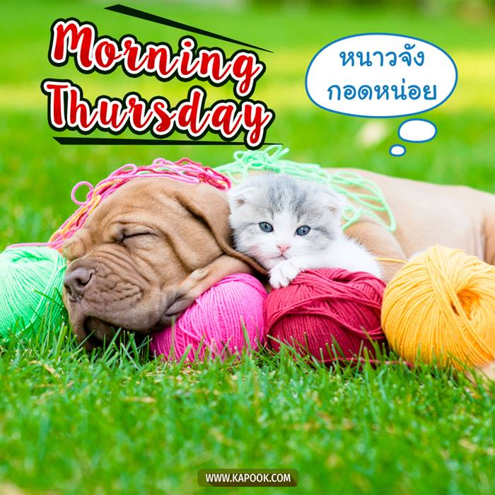 ดูดวงรายวัน วันที่ 11 กุมภาพันธ์ 2564 ดูดวงรายวัน วันที่ 11 กุมภาพันธ์ 2564