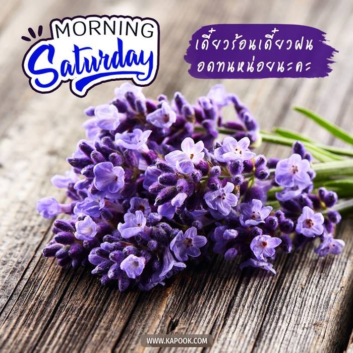 ดูดวงรายวัน วันที่ 24 กรกฎาคม 2564 ดูดวงรายวัน วันที่ 24 กรกฎาคม 2564