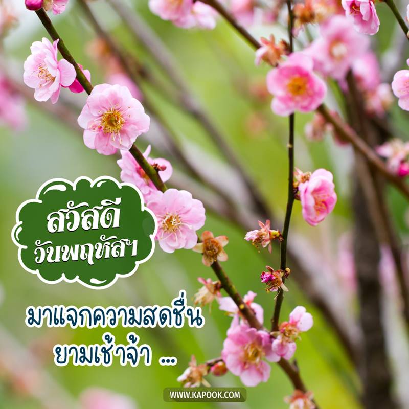 ดูดวงรายวัน วันที่ 25 มีนาคม 2564 ดูดวงรายวัน วันที่ 25 มีนาคม 2564