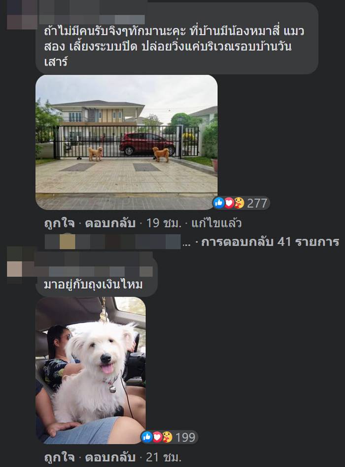 ทิ้งหมา ทิ้งหมา