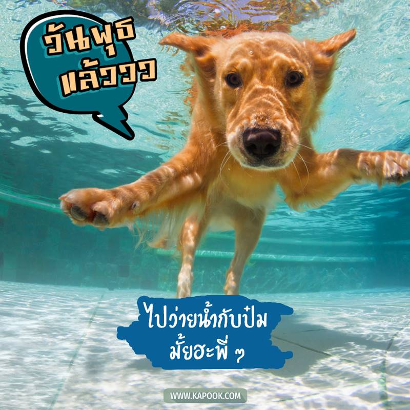 ดูดวงรายวัน วันที่ 26 พฤษภาคม 2564 ดูดวงรายวัน วันที่ 26 พฤษภาคม 2564