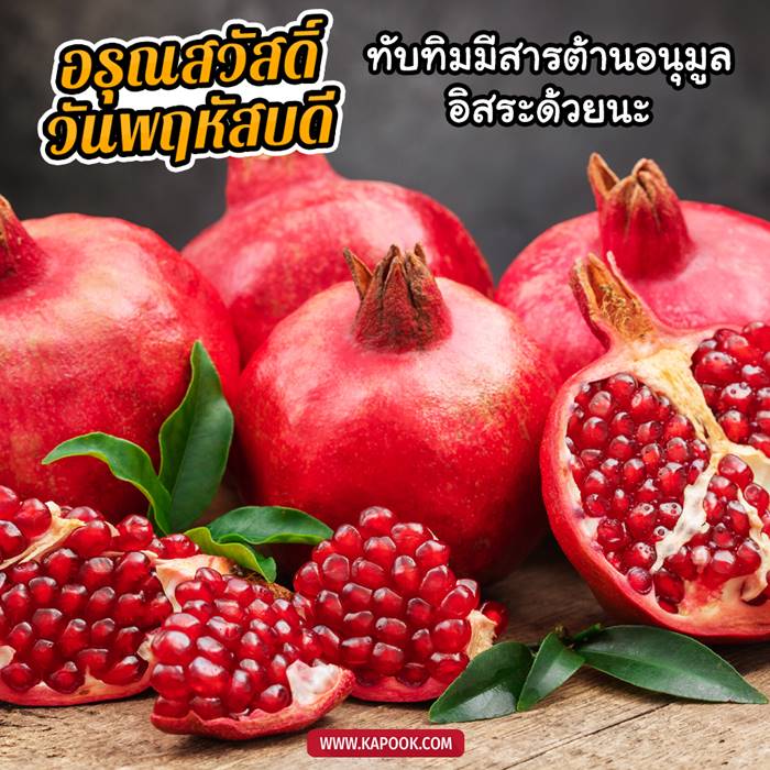 ดูดวงรายวัน วันที่ 30 กันยายน 2564 ดูดวงรายวัน วันที่ 30 กันยายน 2564