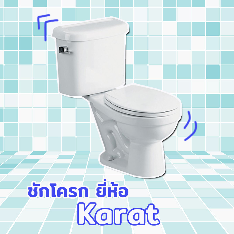 ชักโครก ชักโครก