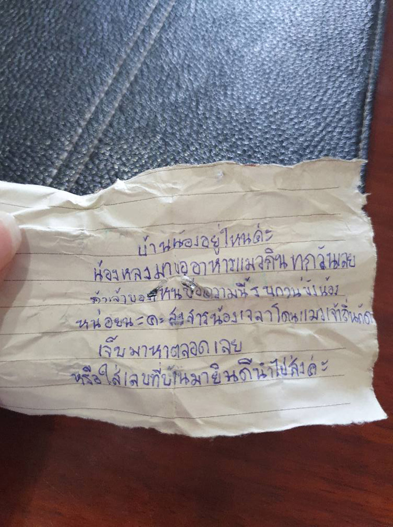 เหมียวโลก 3 ใบ เหมียวโลก 3 ใบ