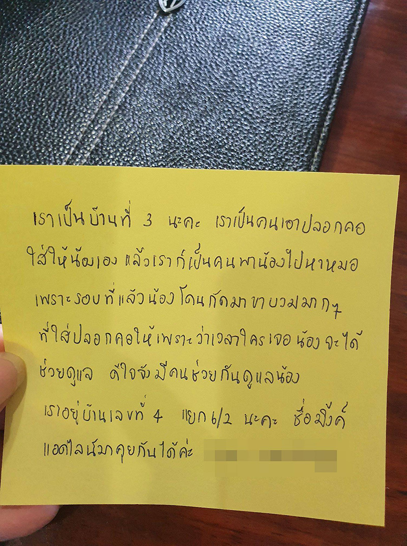 เหมียวโลก 3 ใบ เหมียวโลก 3 ใบ
