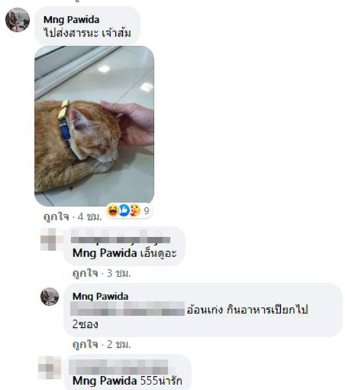 เหมียวโลก 3 ใบ เหมียวโลก 3 ใบ