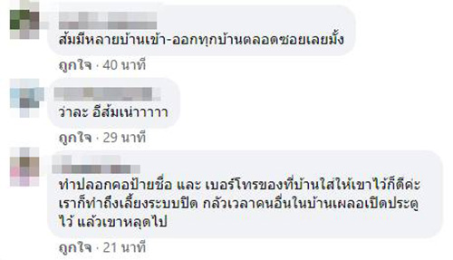 เหมียวโลก 3 ใบ เหมียวโลก 3 ใบ