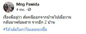 เหมียวโลก 3 ใบ เหมียวโลก 3 ใบ