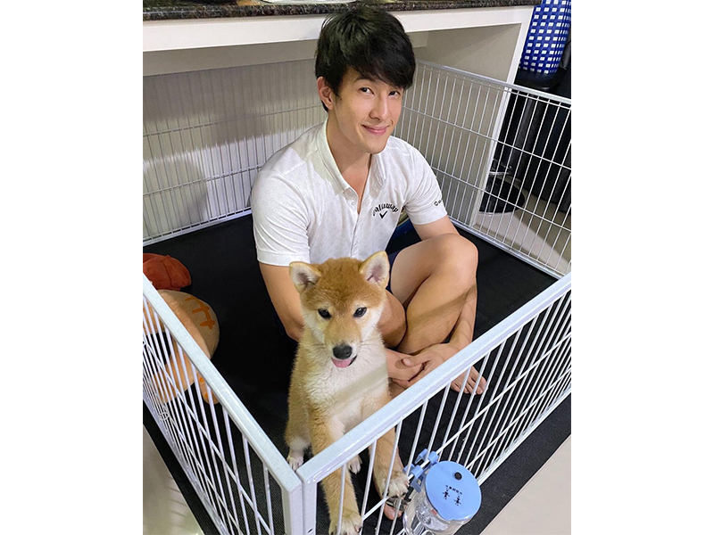 เจมส์ มาร์ ประวัติ เจมส์ มาร์ ประวัติ
