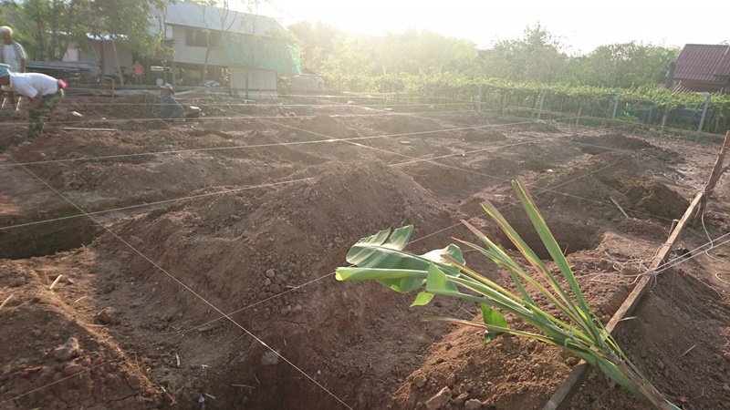 แบบบ้านต่างจังหวัด แบบบ้านต่างจังหวัด