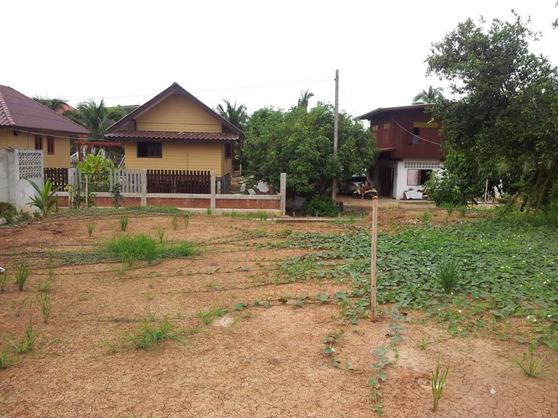 บ้านไทยประยุกต์ 2 ห้องนอน 3 ห้องน้ำ บ้านไทยประยุกต์ 2 ห้องนอน 3 ห้องน้ำ