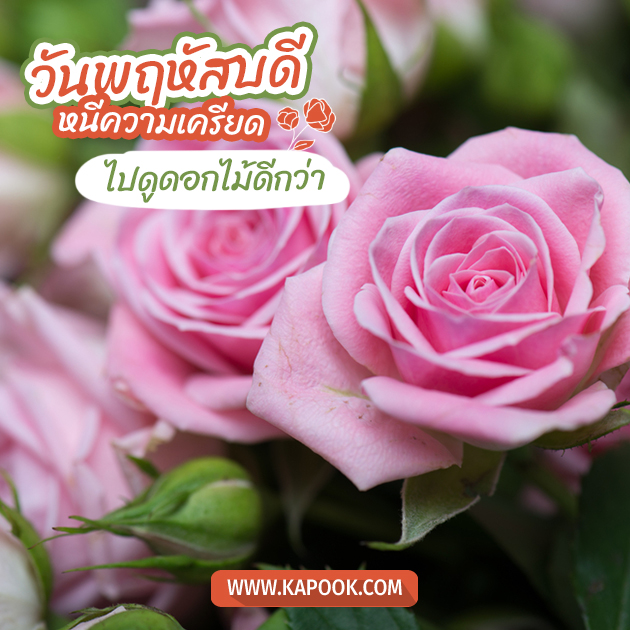 ดูดวงรายวัน ดูดวงรายวัน