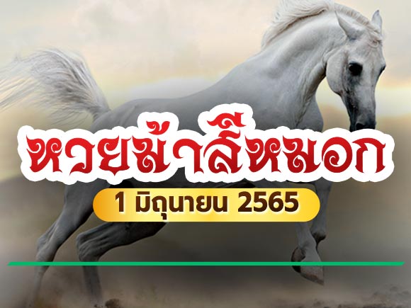 ม้าสีหมอก ม้าสีหมอก