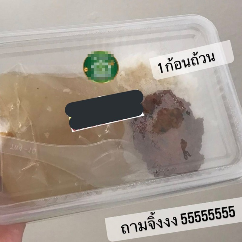 อาหารกักตัว อาหารกักตัว