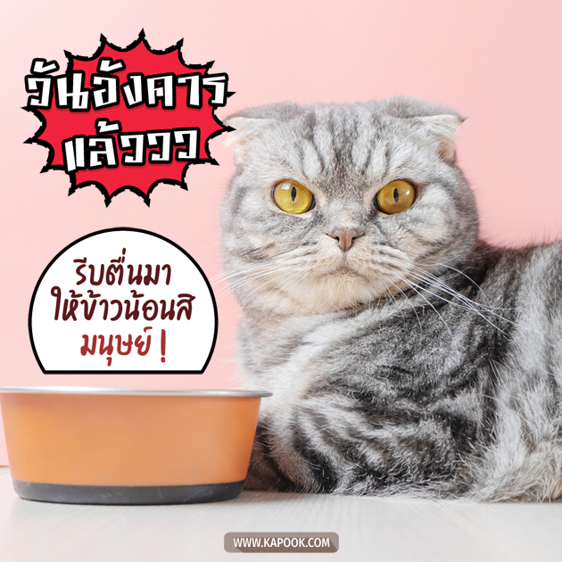 ดูดวงรายวัน ดูดวงรายวัน
