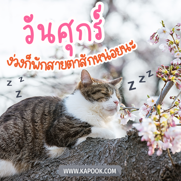 ดูดวงรายวัน ดูดวงรายวัน