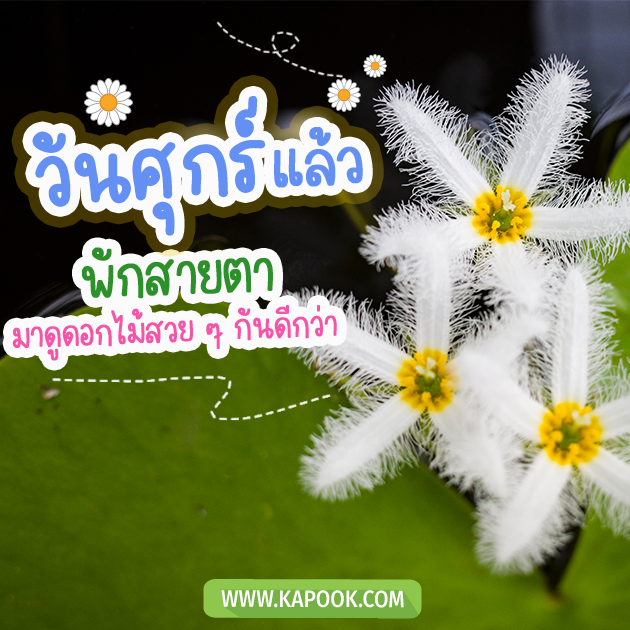 ดูดวงรายวัน ดูดวงรายวัน