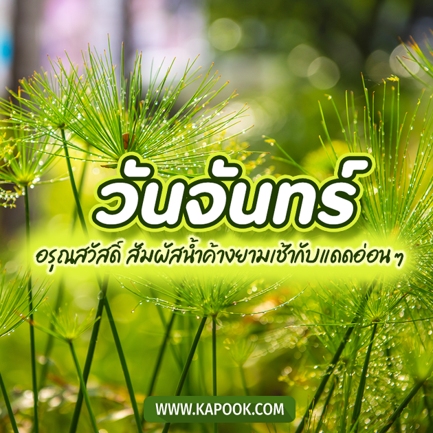 ดูดวงรายวัน ดูดวงรายวัน