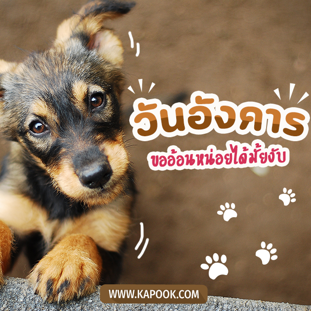 ดูดวงรายวัน ดูดวงรายวัน