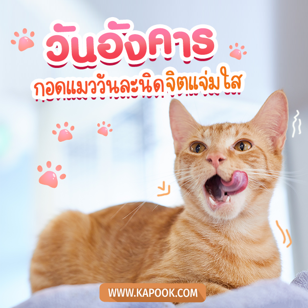 ดูดวงรายวัน ดูดวงรายวัน