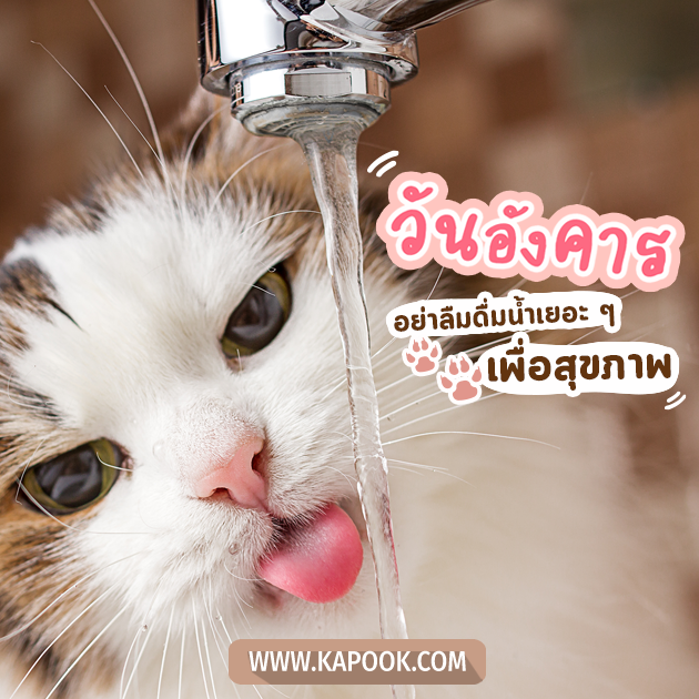 ดูดวงรายวัน ดูดวงรายวัน