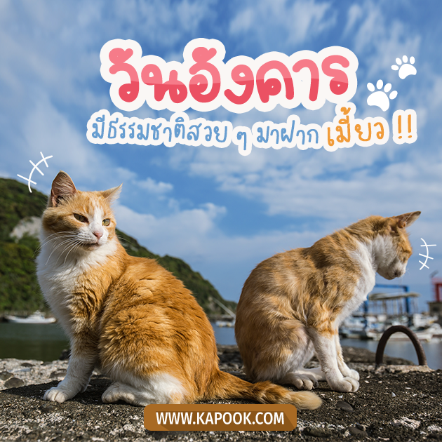 ดูดวงรายวัน ดูดวงรายวัน