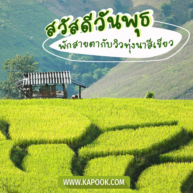 ดูดวงรายวัน ดูดวงรายวัน