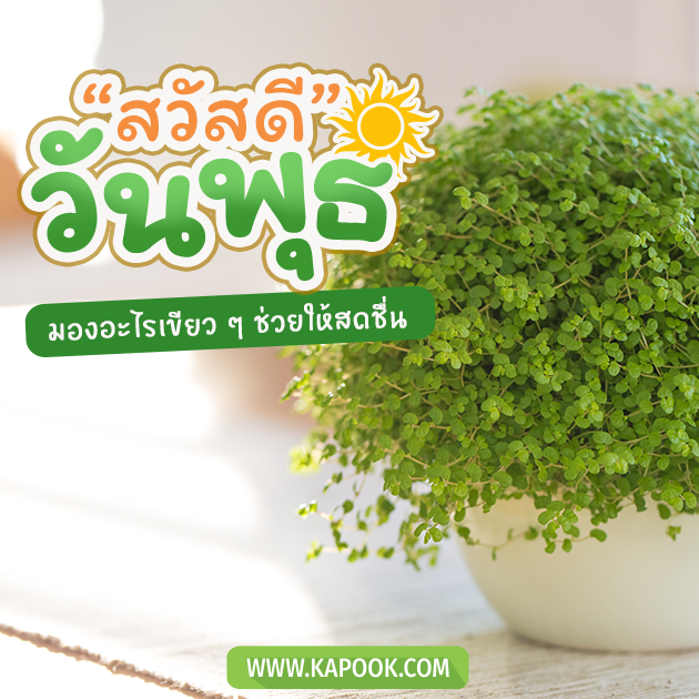 ดูดวงรายวัน ดูดวงรายวัน
