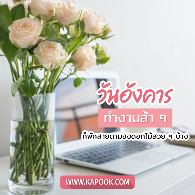 ดูดวงรายวัน ดูดวงรายวัน