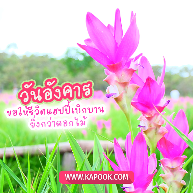 ดูดวงรายวัน ดูดวงรายวัน