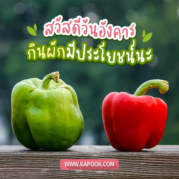ดูดวงรายวัน ดูดวงรายวัน