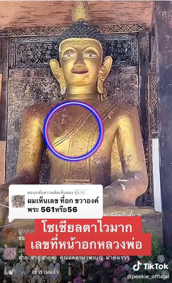 มดดำ คชาภา มดดำ คชาภา