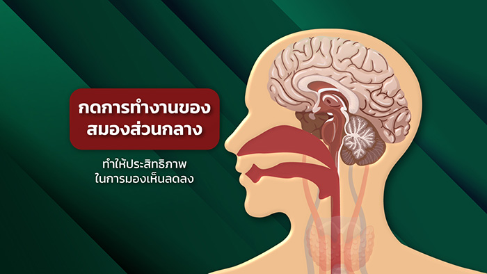 เมาไม่ขับ เมาไม่ขับ
