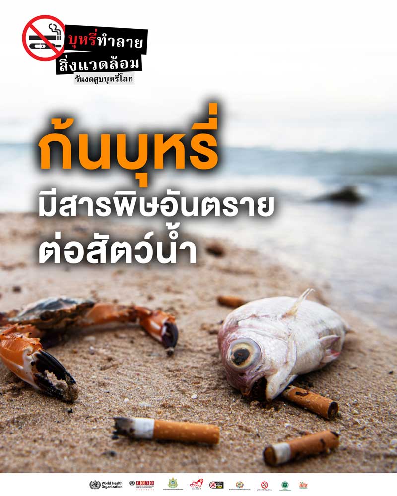 ัวันงดสูบบุหรี่โลก ัวันงดสูบบุหรี่โลก