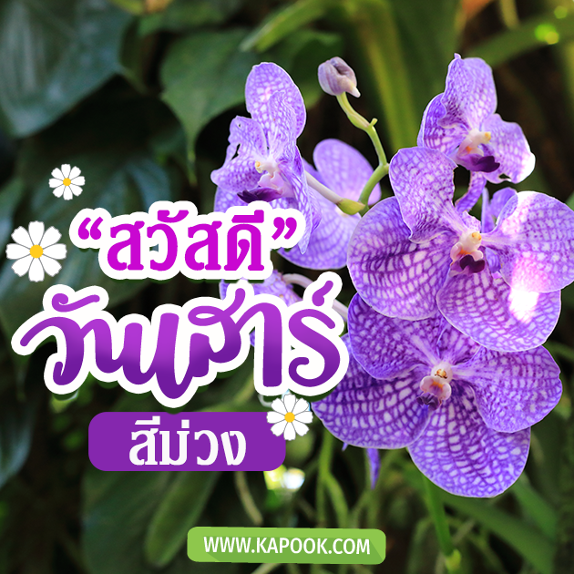 ดูดวงรายวัน 10 กันยายน 2565 ดูดวงรายวัน 10 กันยายน 2565