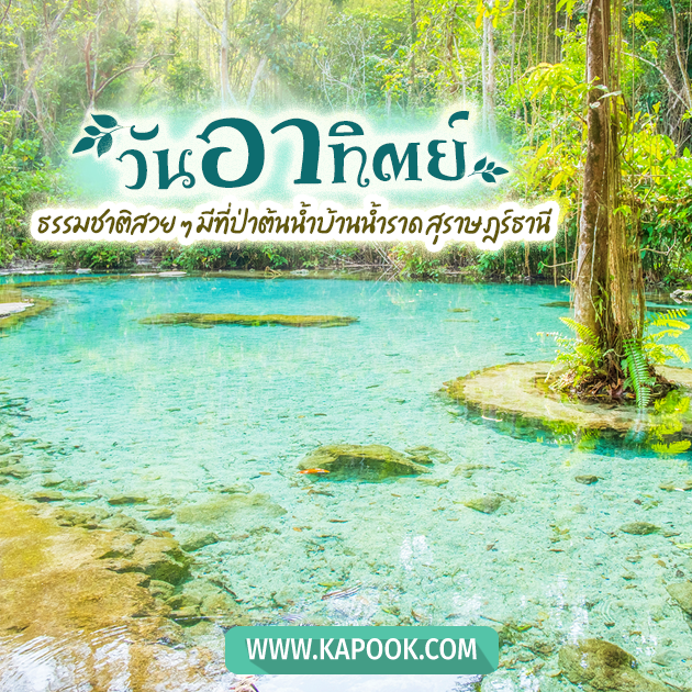 ดูดวงรายวัน 6 พฤศจิกายน 2565 ดูดวงรายวัน 6 พฤศจิกายน 2565
