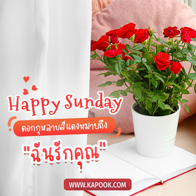 ดูดวงรายวัน 5 มิถุนายน 2565 ดูดวงรายวัน 5 มิถุนายน 2565