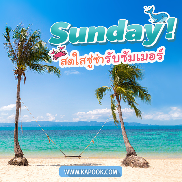 ดูดวงรายวัน 24 เมษายน 2565 ดูดวงรายวัน 24 เมษายน 2565
