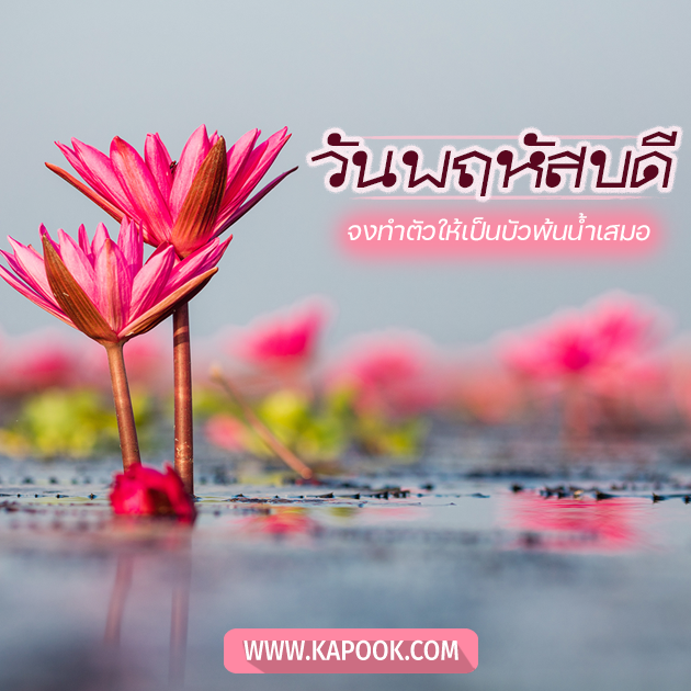 ดูดวง 29 ธันวาคม 2565 ดูดวง 29 ธันวาคม 2565